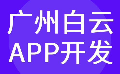 廣州白云區(qū)APP開發(fā)與軟件定制外包——紅匣子科技的專業(yè)服務